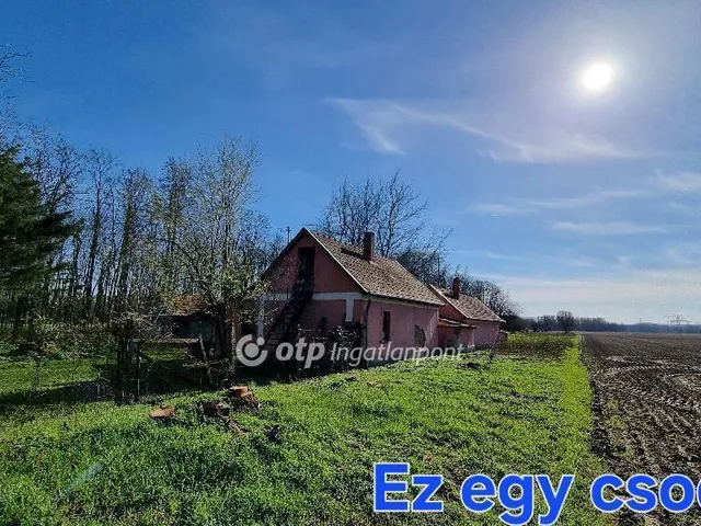 Eladó mezőgazdasági ingatlan Albertirsa 95 nm