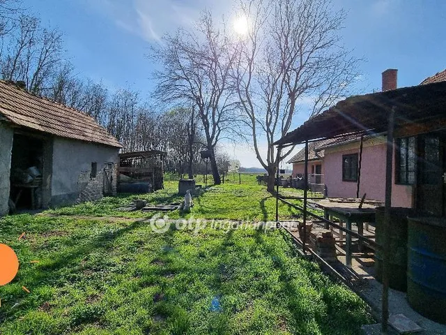 Eladó mezőgazdasági ingatlan Albertirsa 95 nm