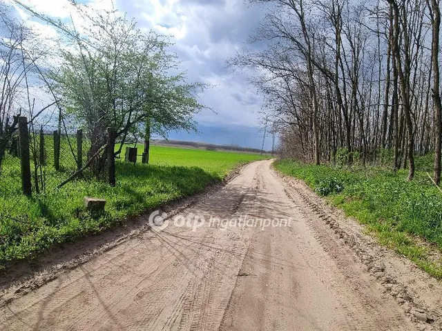 Eladó mezőgazdasági ingatlan Albertirsa 95 nm