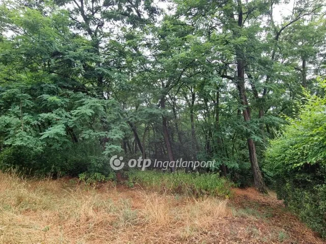 Eladó mezőgazdasági ingatlan Csemő 91 nm