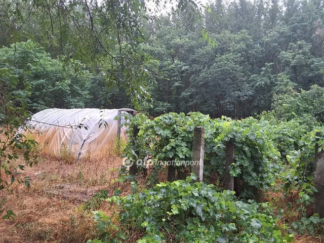 Eladó mezőgazdasági ingatlan Csemő 91 nm