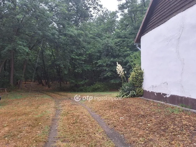Eladó mezőgazdasági ingatlan Csemő 91 nm
