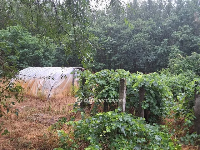 Eladó mezőgazdasági ingatlan Csemő 91 nm