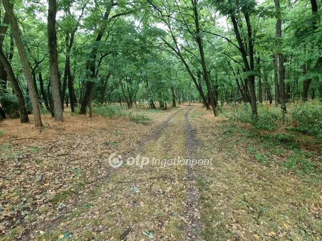 Eladó mezőgazdasági ingatlan Csemő 91 nm
