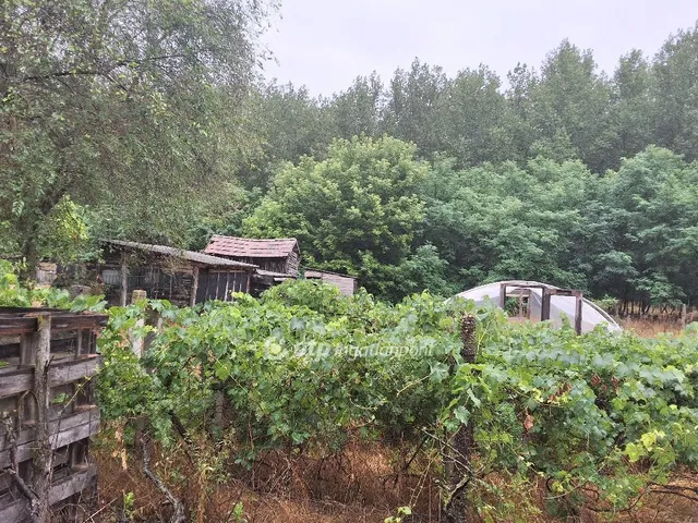 Eladó mezőgazdasági ingatlan Csemő 91 nm