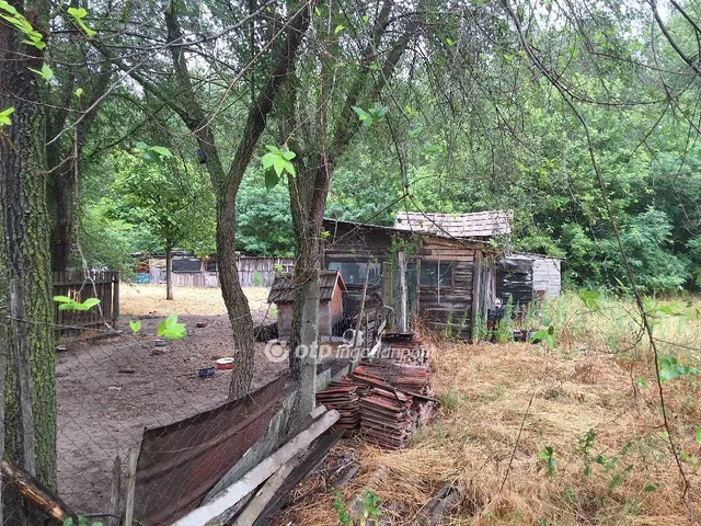 Eladó mezőgazdasági ingatlan Csemő 91 nm