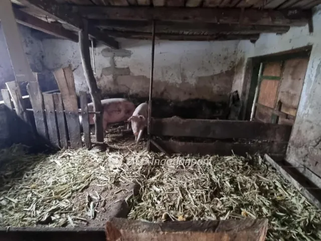 Eladó mezőgazdasági ingatlan Kőröstetétlen 83 nm