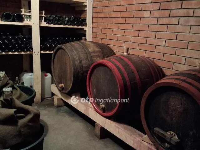 Eladó ház Albertirsa 168 nm