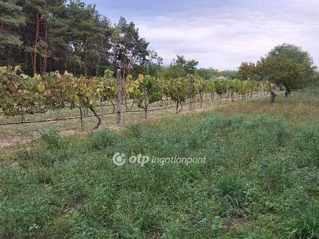 Eladó ház Albertirsa 168 nm