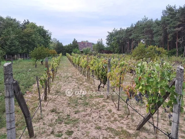 Eladó ház Albertirsa 168 nm