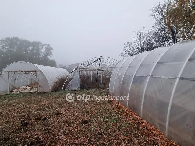 Eladó ház Albertirsa 100 nm