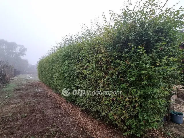 Eladó ház Albertirsa 100 nm