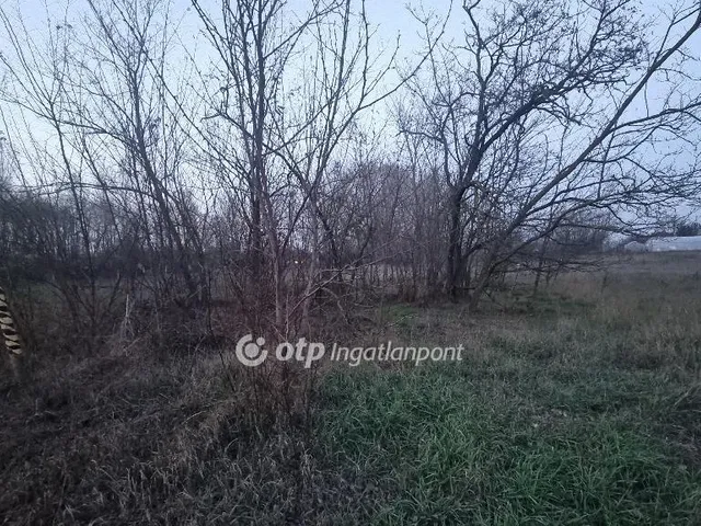 Eladó telek Albertirsa 1108 nm