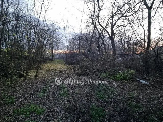 Eladó telek Albertirsa 1108 nm