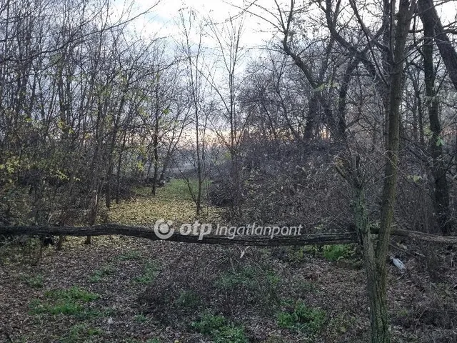 Eladó telek Albertirsa 1108 nm