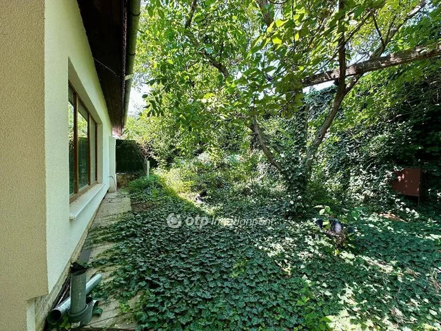 Eladó ház Szekszárd 250 nm