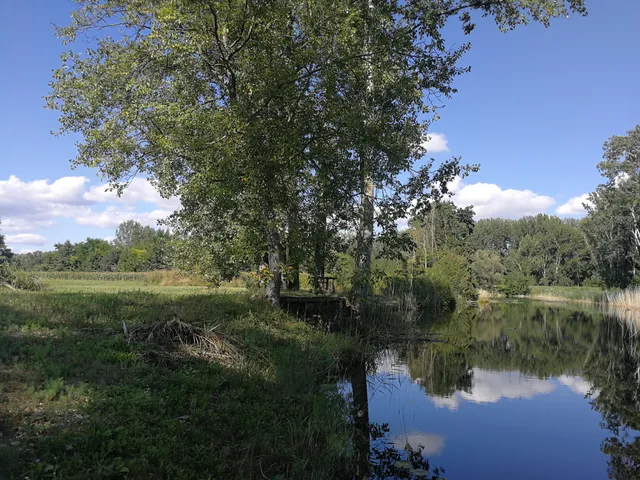 Eladó telek Dunasziget 3800 nm