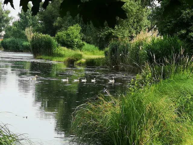 Eladó telek Dunasziget 3800 nm