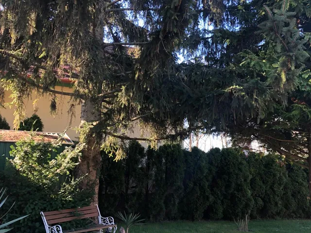 Eladó telek Mosonmagyaróvár, Magyaróvár 828 nm