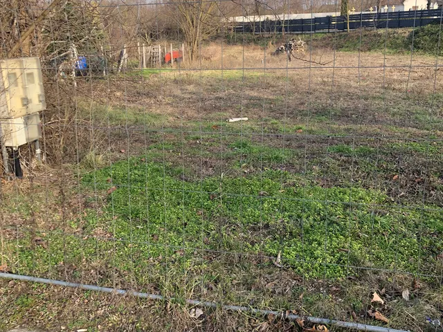 Eladó telek Kimle 1580 nm