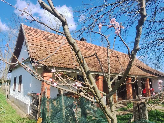 Eladó mezőgazdasági ingatlan Jászberény, Újerdő 40 nm