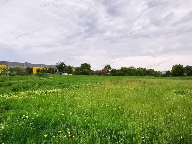 Eladó mezőgazdasági ingatlan Jászberény 866 nm