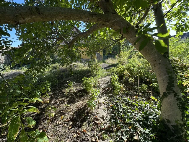 Eladó telek Jászapáti 833 nm