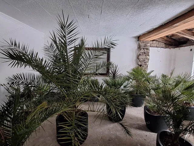 Eladó ház Jászberény 75 nm