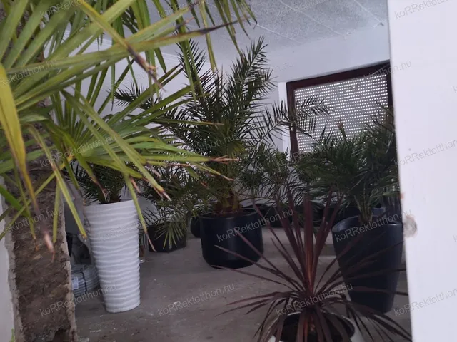 Eladó ház Jászberény 75 nm