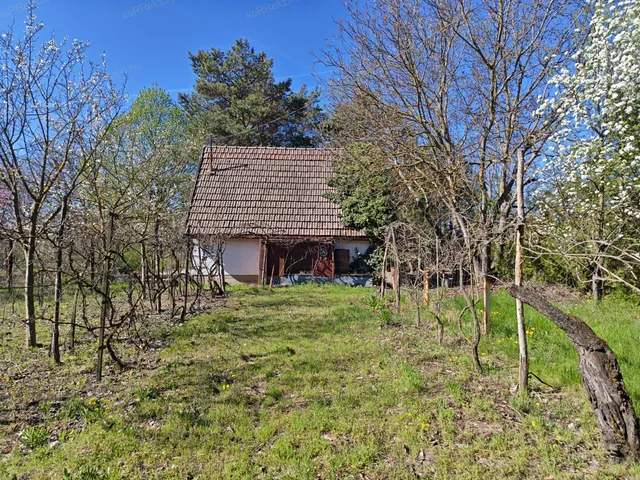 Eladó mezőgazdasági ingatlan Jászberény 30 nm