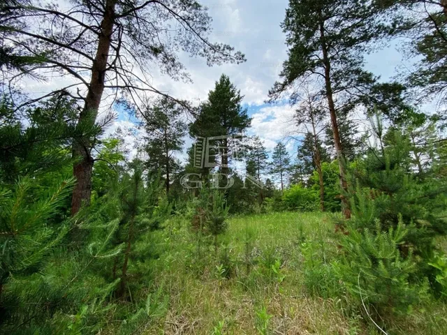 Eladó telek Kecskemét, Hetényegyháza 6000 nm