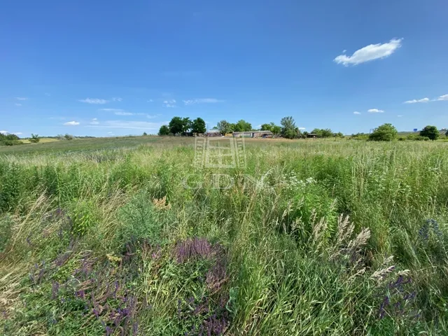 Eladó mezőgazdasági ingatlan Sopron, Tómalom 1520 nm