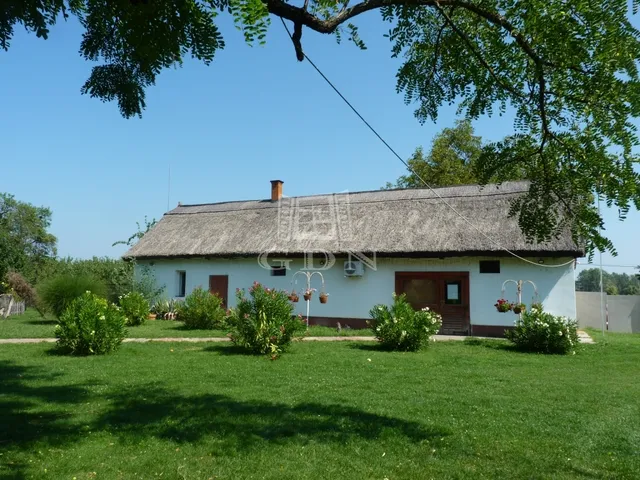 Eladó mezőgazdasági ingatlan Lajosmizse 10000 nm