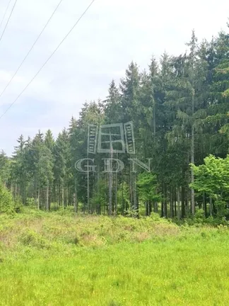 Eladó mezőgazdasági ingatlan Nagyrákos 250000 nm