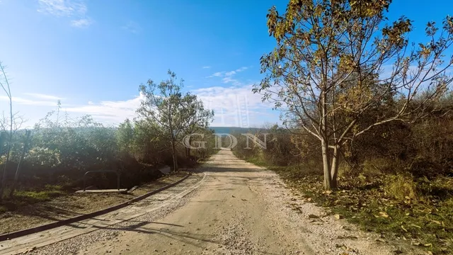 Eladó telek Budapest II. kerület, Erzsébetliget 2906 nm