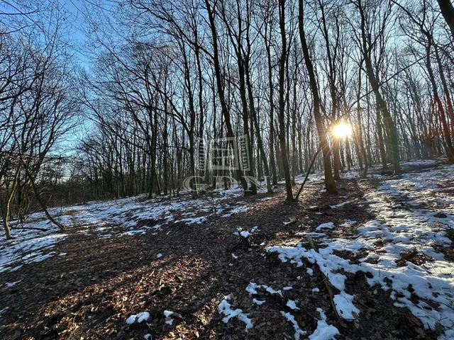 Eladó telek Kismaros, Börzsönyliget 1191 nm