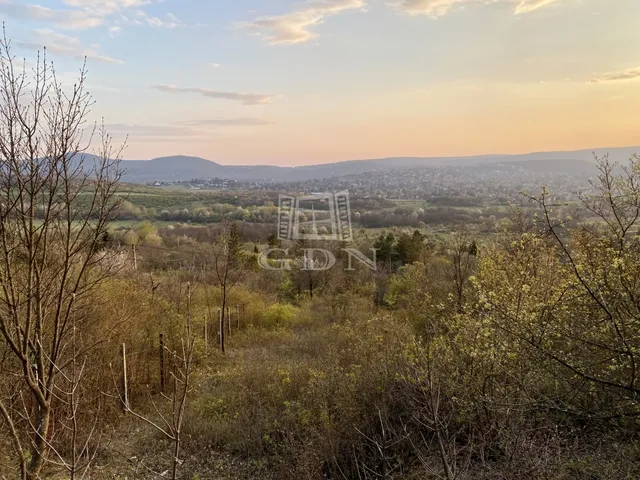 Eladó telek Budapest II. kerület, Gercse 1666 nm