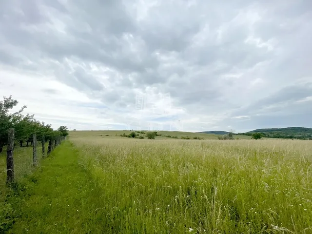 Eladó mezőgazdasági ingatlan Törökbálint 9569 nm