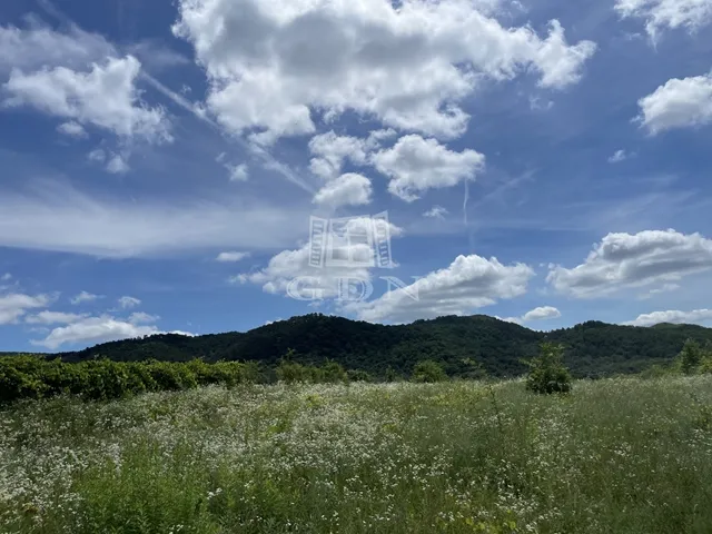 Eladó telek Budakeszi, Nagyszénászug 697 nm