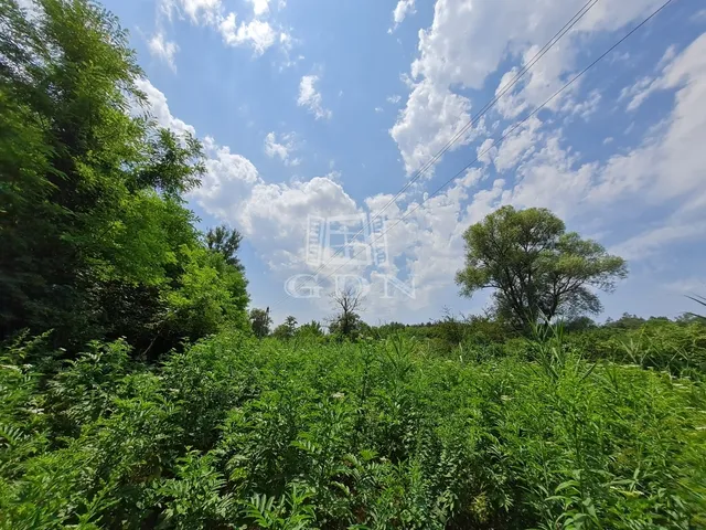 Eladó telek Isaszeg 3062 nm