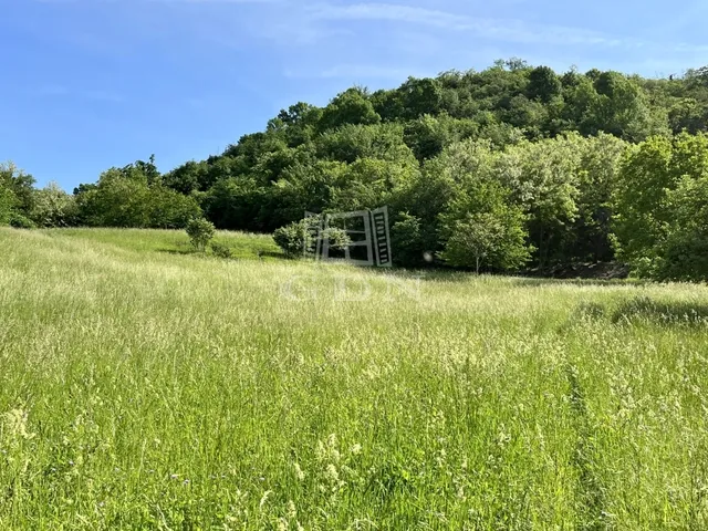 Eladó telek Zalaegerszeg, Csács 26096 nm