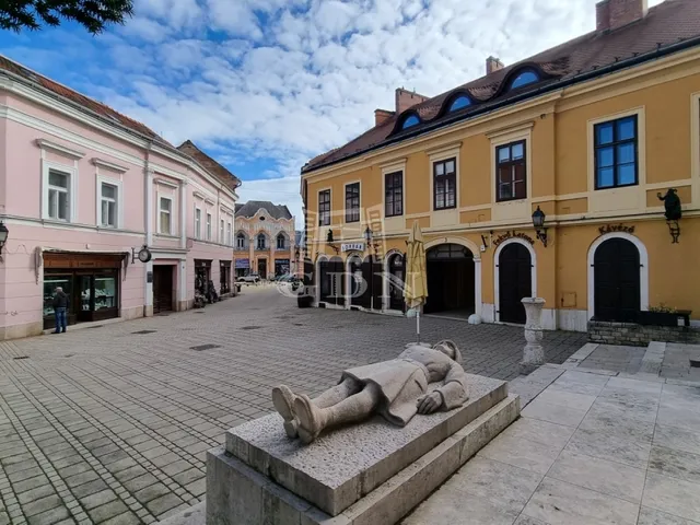 Kiadó kereskedelmi és ipari ingatlan Székesfehérvár, Belváros 60 nm