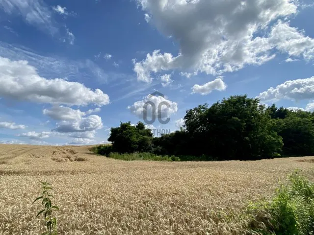 Eladó telek Zalakaros 12378 nm