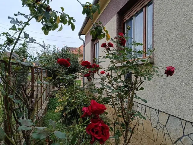 Eladó ház Letenye 95 nm