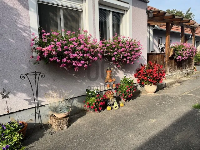 Eladó ház Szepetnek 80 nm