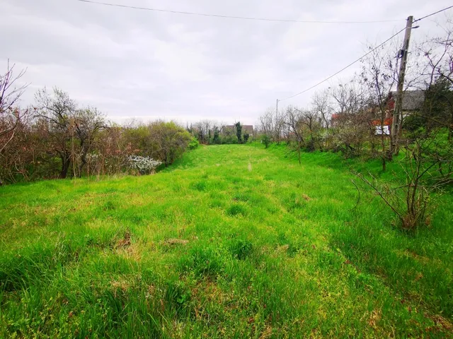 Eladó telek Pákozd 1112 nm