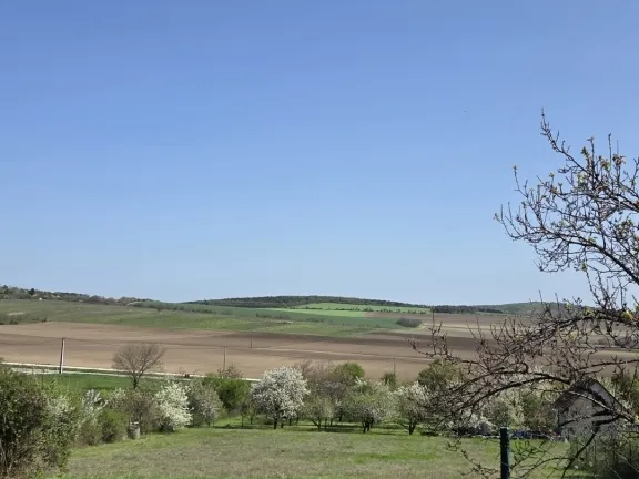 Eladó telek Nadap 60001 nm