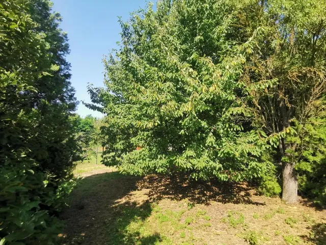 Eladó telek Iszkaszentgyörgy 808 nm