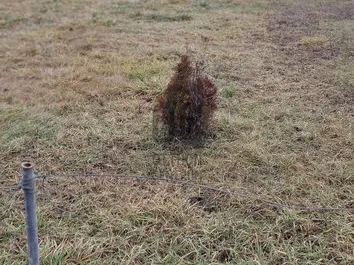 Eladó telek Székesfehérvár, Maroshegy 722 nm