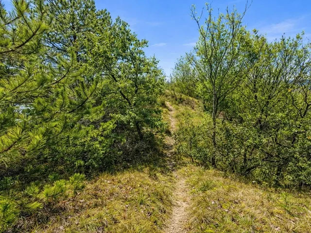 Eladó telek Kincsesbánya 6728 nm